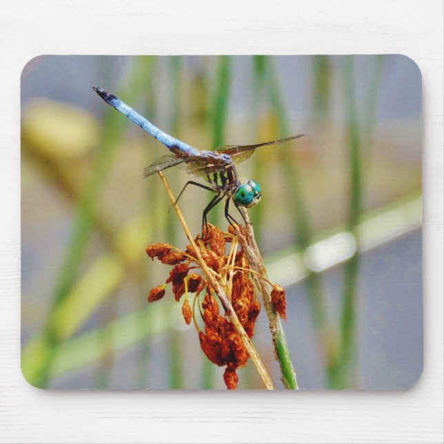 Sedge grass, and Dragonfly Mouse Pad (Front)