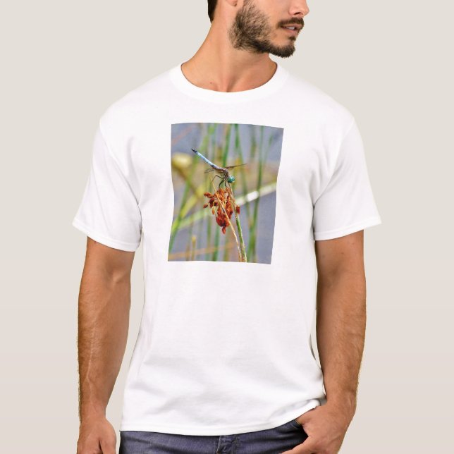 Sedge grass, and Dragonfly T-Shirt (Front)