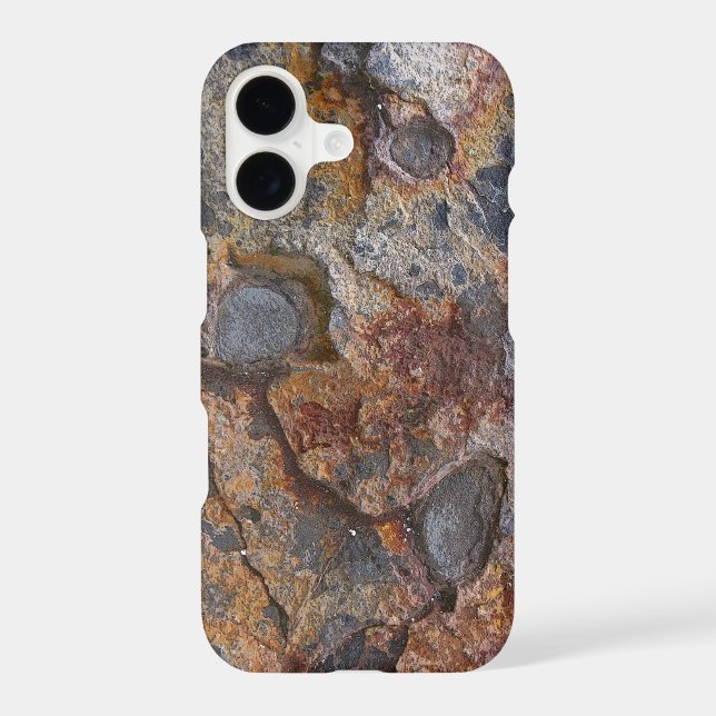 Sedimentary Rock Texture (Back)