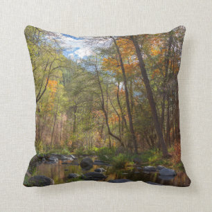 SEDONA ARIZONA STREAMING ANOTHER DAY THROW PILLOW