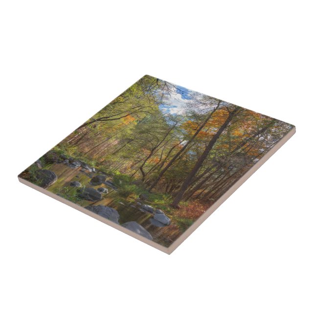 SEDONA ARIZONA STREAMING ANOTHER DAY TILE (Side)