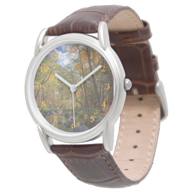 SEDONA ARIZONA STREAMING ANOTHER DAY WATCH (Angled)