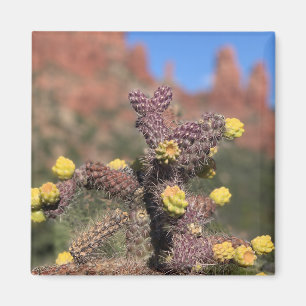 Sedona Cactus Desert Magnet