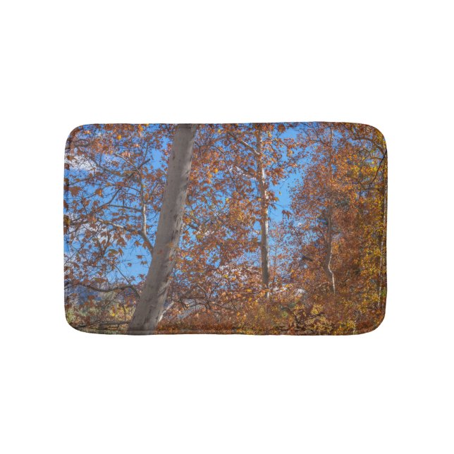 SEDONA SEASONING Oak Creek Canyon Bath Mat (Front)