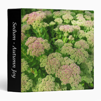 Sedum "Autumn Joy" (1.5in) Binder