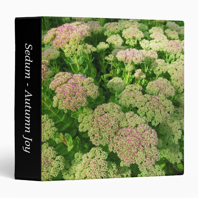 Sedum "Autumn Joy" (1.5in) Binder (Front/Spine)