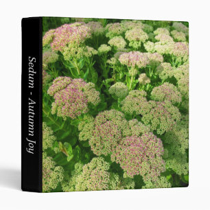 Sedum "Autumn Joy" (1in) Binder