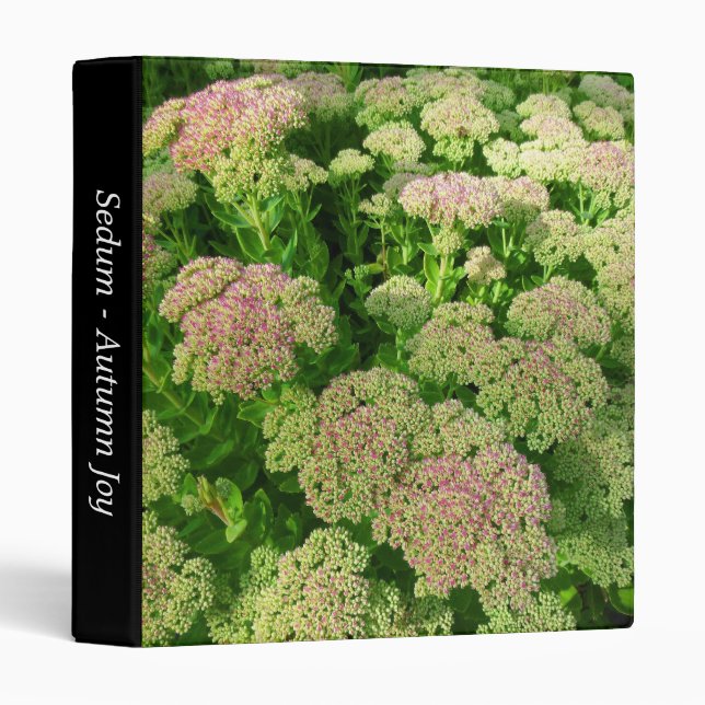 Sedum "Autumn Joy" (1in) Binder (Front/Spine)