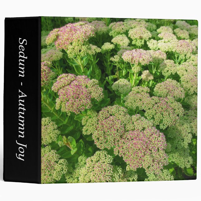 Sedum "Autumn Joy" (2in) Binder (Front/Spine)
