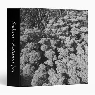 Sedum "Autumn Joy" (B&W) (1.5in) Binder