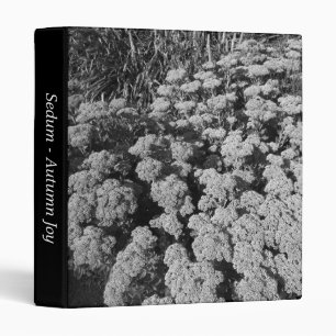 Sedum "Autumn Joy" (B&W) (1in) Binder