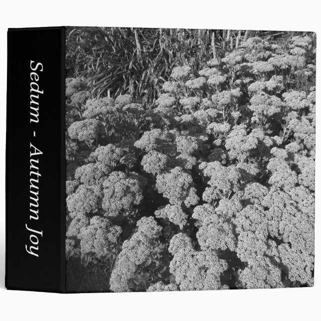 Sedum "Autumn Joy" (B&W) (2in) Binder (Front/Spine)