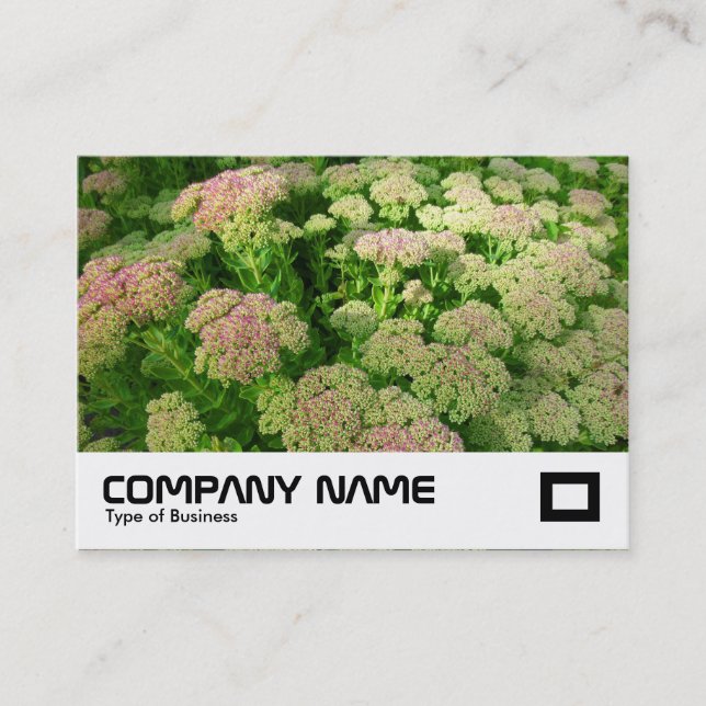 Sedum "Autumn Joy" Business Card (Front)
