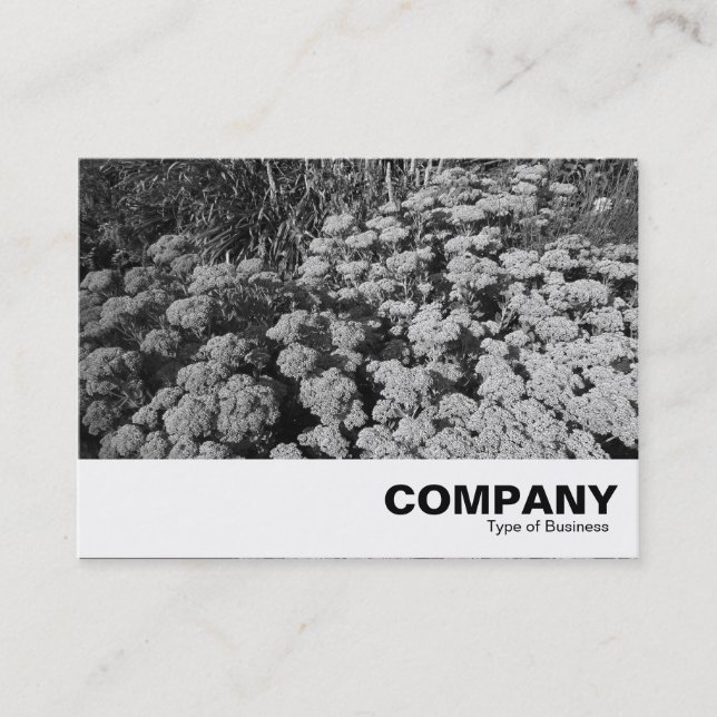 Sedum "Autumn Joy" Business Card (Front)