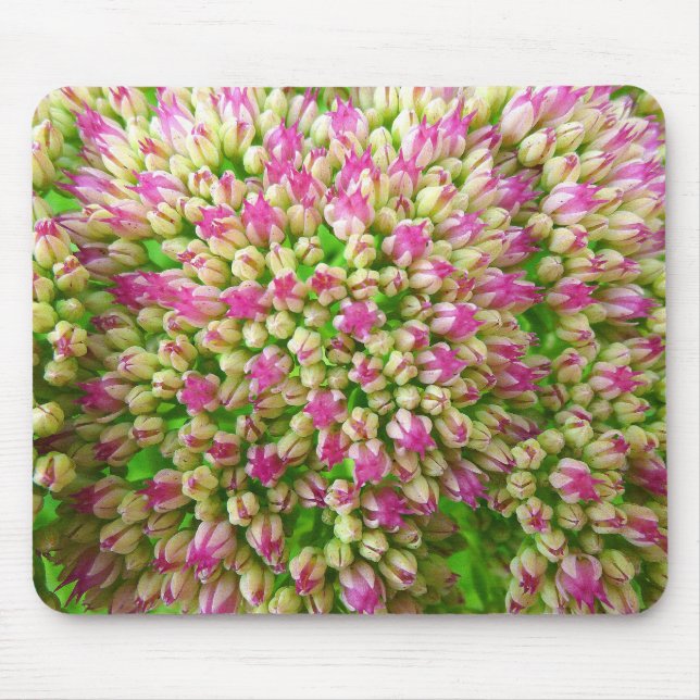 Sedum Autumn Joy Mouse Pad (Front)