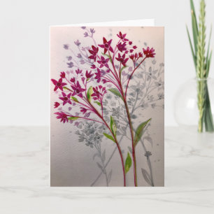 Sedum - Blank inside greeting card