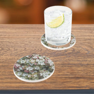 Sedum Spathulifolium Succulent Plants Floral Coaster