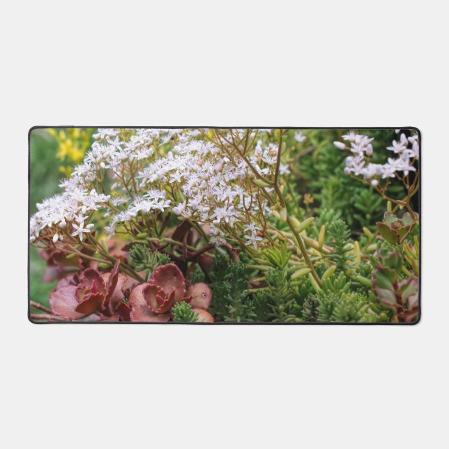 Sedum Succulents With White Flower Blossoms Desk Mat (Front)