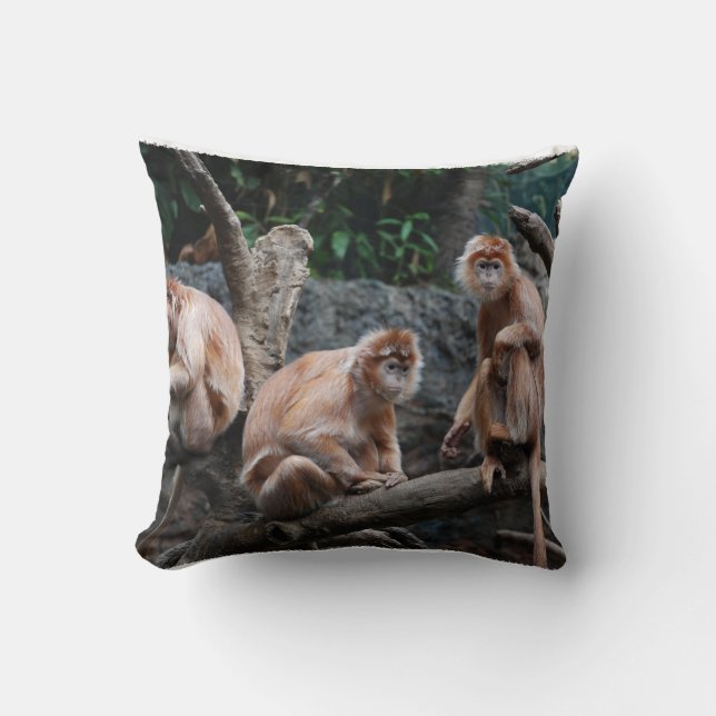 See No Evil, Hear No Evil, Do No Evil Throw Pillow (Front)