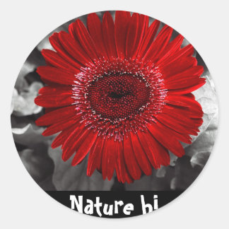see red classic round sticker