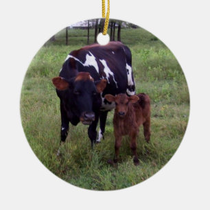 See the Resemblance? Ornament