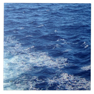 See the Sea Tile