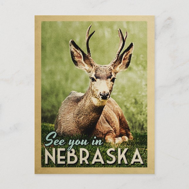 See You In Nebraska - Stag Deer Wildlife Postcard (Front)