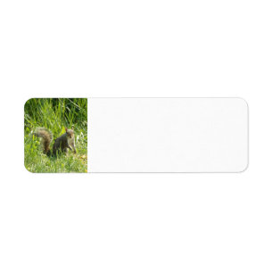 See You Squirrel Return Address Labels