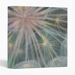 Seed Head Design   Gennesse, Idaho Binder