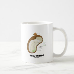 Seed Inside (Dicotyledon Bean Seed Anatomy) Coffee Mug