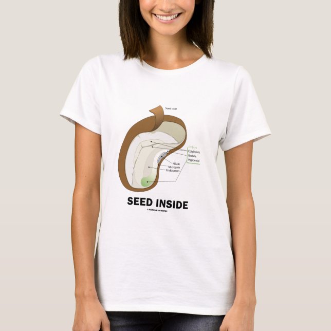 Seed Inside (Dicotyledon Bean Seed Anatomy) T-Shirt (Front)