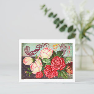 Seed Packet Postcards 