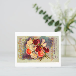 Seed packet postcards.  postcard