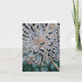 Seed Pod Explosion Blank Card