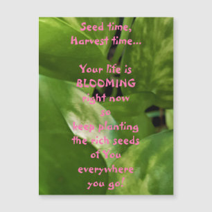 Seed Time, Harvest Time Magnetic Greeting Card