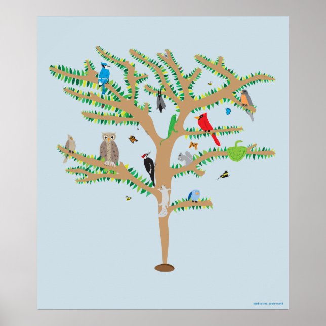 Seed to Tree poster (Front)