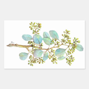 Seeded Eucalyptus 01 Sticker