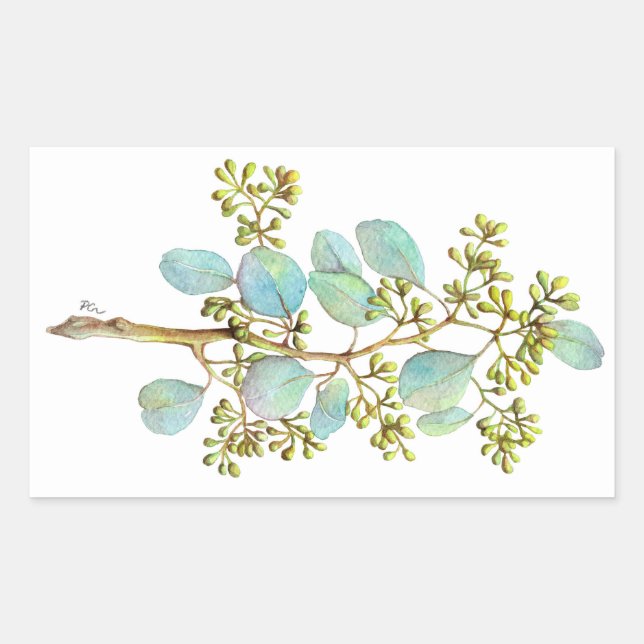 Seeded Eucalyptus 01 Sticker (Front)