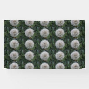 Seeding Dandelion Flower Banner