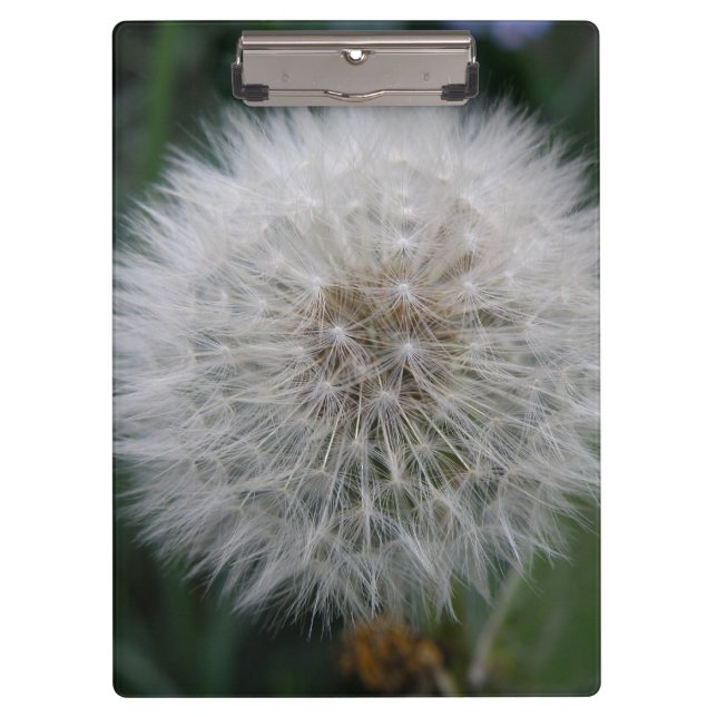 Seeding Dandelion Flower Clipboard (Front)