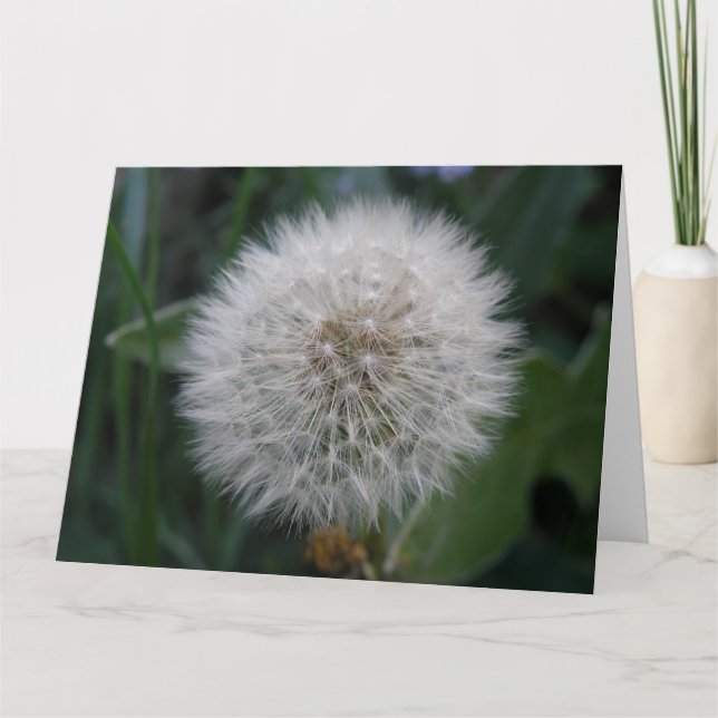 Seeding Dandelion Flower Giant Greeting Card (Front)