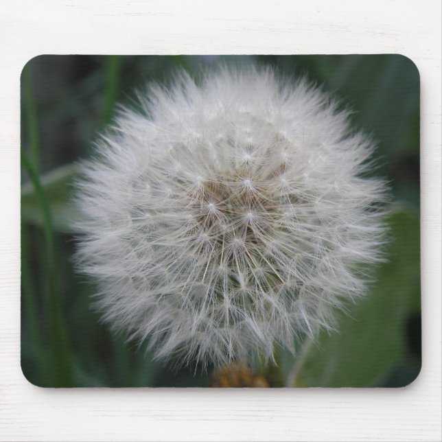 Seeding Dandelion Flower Mousepad (Front)