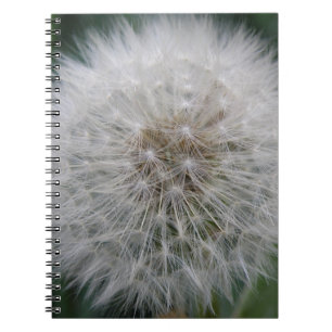 Seeding Dandelion Flower Notebook