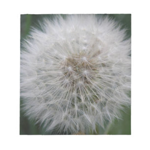 Seeding Dandelion Flower Notepad