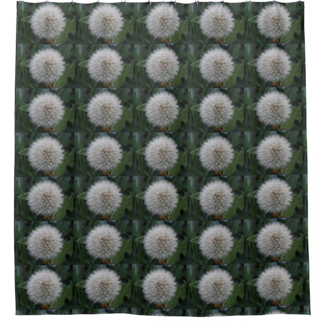 Seeding Dandelion Flower Shower Curtain (Front)