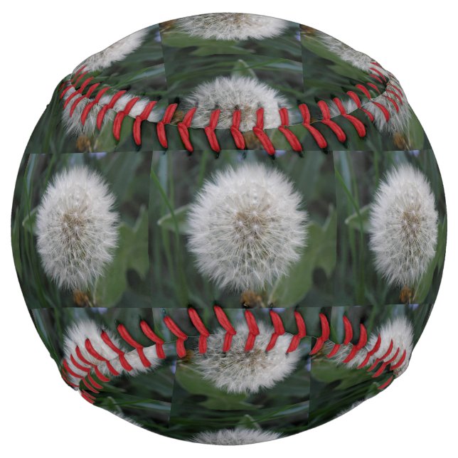 Seeding Dandelion Flower Softball (Front)