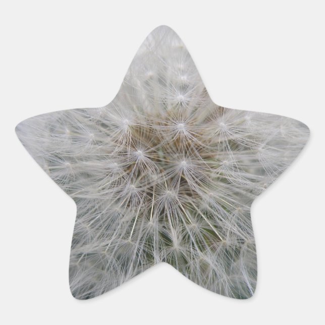 Seeding Dandelion Flower Stickers (Front)
