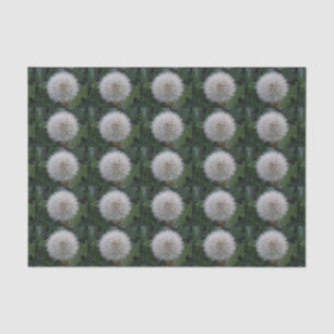 Seeding Dandelion Flower Tissue Paper