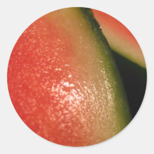 seedless watermelon classic round sticker