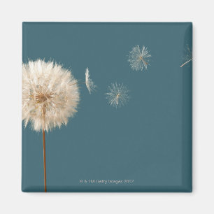 Seeds blowing off wishing weed magnet
